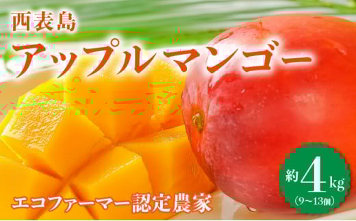 満足度NO.1！1玉1玉検品し、樹上完熟で糖度14度以上のみ発送します！ 西表島プレミアムマンゴー4kg