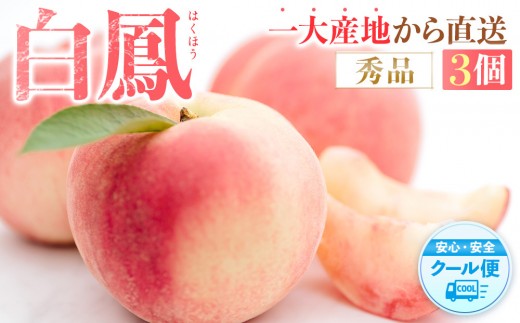 
            先行販売！［モモ］ 白鳳　桃の王様！食べきりやすい３個入り［2026年6月下旬頃より順次発送］［秀品］こだわり農家厳選 ［KG17］
          