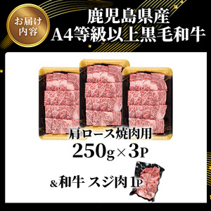 【数量限定】鹿児島県産黒毛和牛A4等級以上肩ロース焼肉用 (合計750g＋和牛スジ肉250g×1P) 鹿児島県産 黒毛和牛 肩ロース【ビーフ倉薗】A800-v01