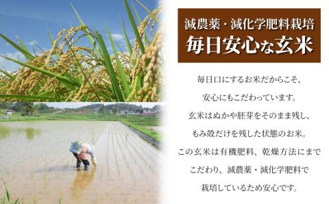 【太陽と大地】八重原産特別栽培米（減農薬・減化学肥料栽培）コシヒカリ玄米1kg