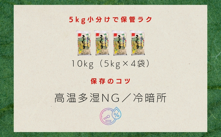 JAかとり直送 新米コシヒカリ 精米20kg（5kg×4）千葉県産 令和7年産 神崎町 [001-a005]