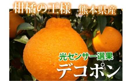 デコポン I12光センサー選果 約2kg （5～10玉） 【2025年12月上旬から2026年5月下旬発送予定】 でこぽん 蜜柑 みかん 果物 果実 フルーツ 熊本県 熊本市 常温
