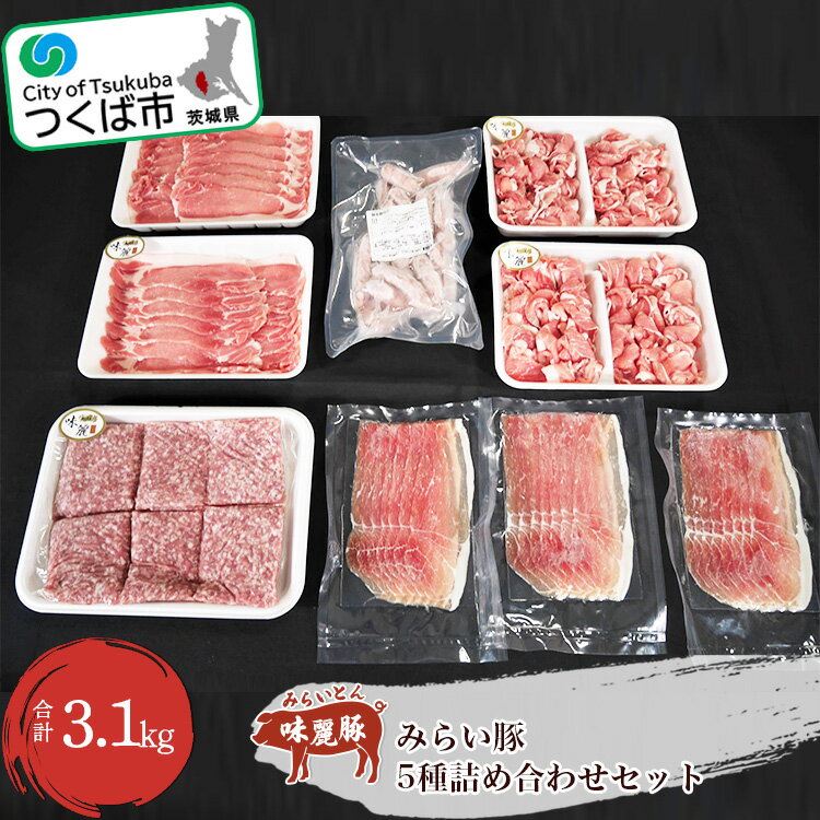 【ふるさと納税】みらい豚 詰め合わせ セット | 茨城県 つくば市 ロース もも肉 切落し 挽肉 粗挽き ホワイト ウインナー オリジナル 生ハム 詰合せ ブランド肉 ブランド豚 銘柄豚 ポーク 冷凍 焼肉 BBQ バーベキュー パック