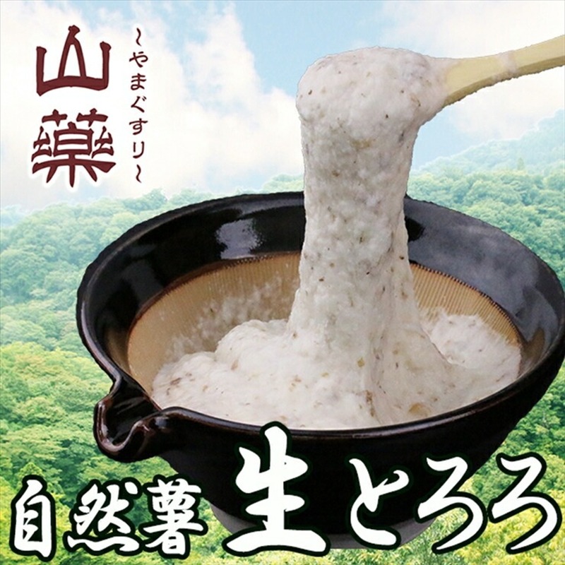 109-3241　自然薯の味をお楽しみください。自然薯生とろろ100ｇ×30ｐセット【とろろ 極上とろろ 山芋 お家用 家庭用 国産 セット商品 自然薯 神奈川県 小田原市 】