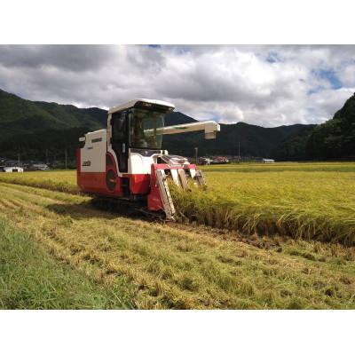 ふるさと納税 朝来市 自然が育んだ美味しいお米◆もろみ米◆コシヒカリ令和6年産　計10kg |  | 02