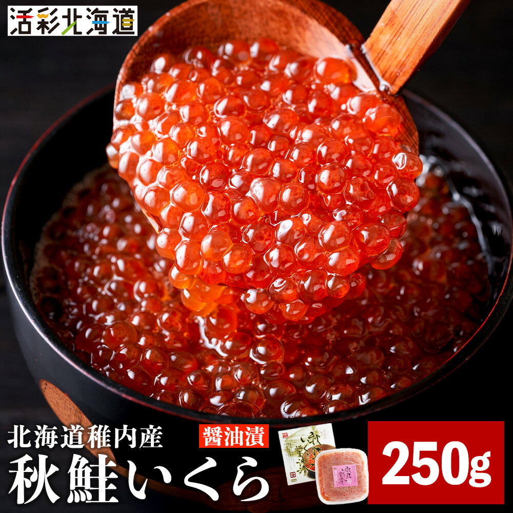 【ふるさと納税】【 北海道 稚内産 】 秋鮭 いくら 醤油漬 250g ( イクラ丼 海鮮丼 に!)いくら 醤油漬け 魚卵 加工品 北海道ふるさと納税 稚内 ふるさと納税 北海道 【配送不可地域：離島・沖縄県】