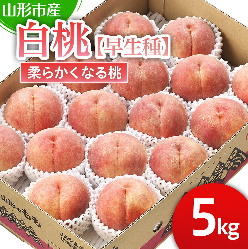 【ふるさと納税】山形市産 白桃【早生種】「三郷・まどか・陽夏妃」柔らかくなる桃 5kg (13玉～18玉)【令和8年産先行予約】FS25-125