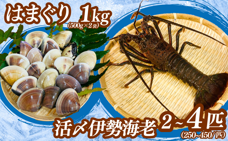 
            【9月以降順次発送】 活〆冷凍伊勢海老・液体冷凍はまぐり セット  選べる 伊勢海老  2尾・4尾 （250～450g）はまぐり 1kg 活〆冷凍伊勢海老・液体冷凍はまぐり セット お刺身 海老 エビ 刺し身 エビマヨ 味噌汁 天ぷら 天丼 鬼瓦焼き グラタン はまぐり 蛤 味噌汁 酒蒸し だし ダシ 出汁 クラムチャウダー 炊き込みご飯  ハマグリ 千冷凍 冷凍配送 葉県 旭市 治吉水産 hys
          