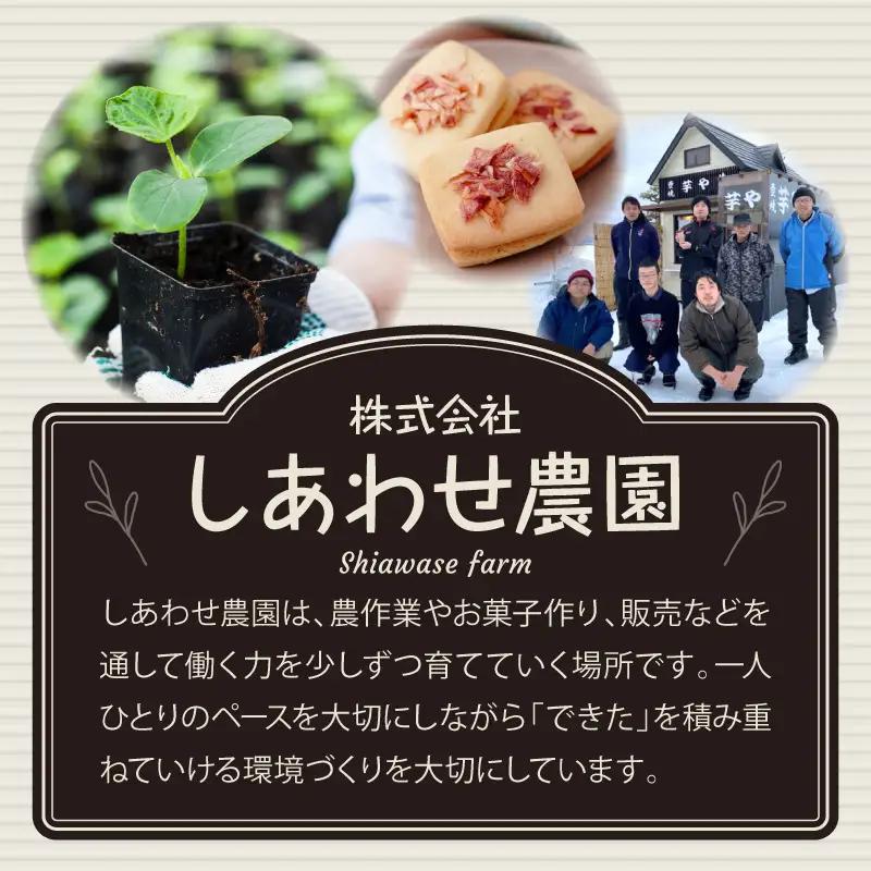りんご バターサンド 6個入×2箱 個包装 バターサンドクッキー