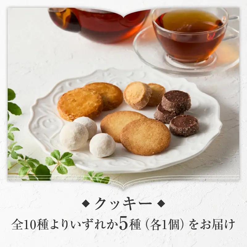 パティスリーショコラトリーレシィ スイーツ アソートボックスB 洋菓子 焼き菓子 クッキー 詰め合わせ ギフト プレゼント_0021-002-se5