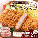 【ふるさと納税】【内容量が選べる】 豚ロース (トンテキ ・ とんかつ用 ) 豚肉 真空パック ロース 500g 1kg 1.5kg 2kg 宮崎 ブランドポーク 肉 国産 おすすめ ステーキ 焼肉 お弁当 おかず 晩ご飯 BBQ お祝い 記念日 ギフト 贈り物 贈答 お取り寄せ 宮崎県 都農町 送料無料