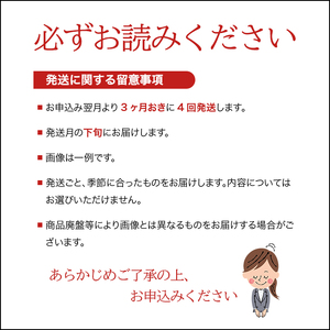SE0386　【4回定期便】花王バブ アソート　3箱×4回(計12箱) 