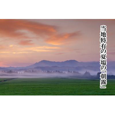 ふるさと納税 十日町市 【令和7年産】【厳選☆十日町育ち】“有機栽培米” 魚沼産コシヒカリ　5kg×2袋 |  | 02