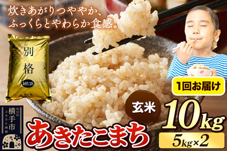 《令和7年産》 米 あきたこまち 10kg（5kg×2袋） 【玄米】 秋田県産