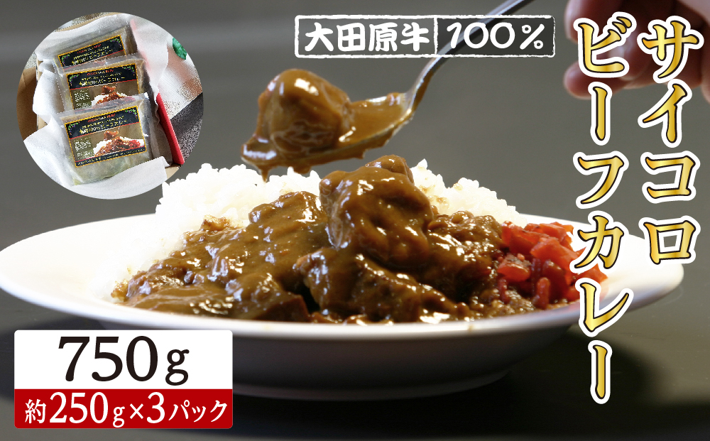大田原牛 100％ サイコロ ビーフカレー 3パックセット | レトルト カレー 和牛 牛肉 ビーフカレー 高級