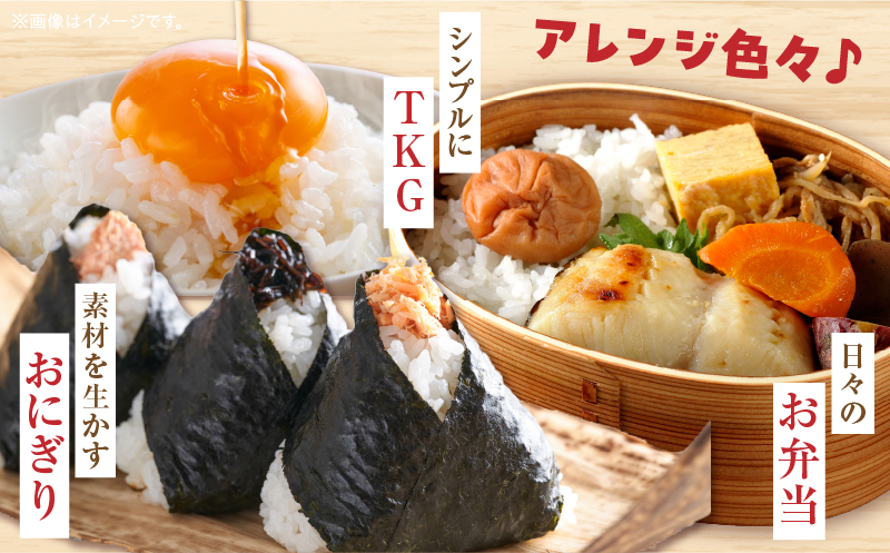 【令和7年産】あきさかり＆こしひかり 計10kg（各5kg×2）紙袋配送|新米 あきさかり こしひかり 10kg 米 白米 ごはん ご飯 朝食 白ご飯 おにぎり お弁当 おむすび お米 国産 美味しい