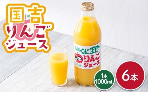 
            国吉りんごジュース 1000ml×6本セット リンゴジュース アップルジュース 100％ ストレート FAD-1747
          