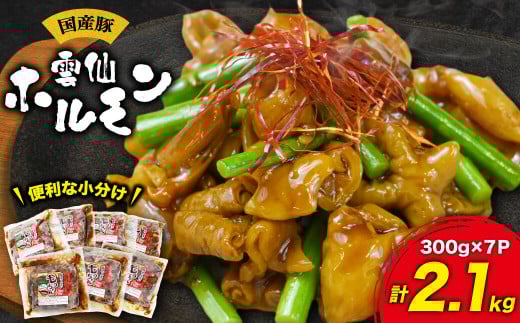 【雲仙ホルモンもっちゃん】2.1kg （300g×7P） 国産豚（雲仙市産の豚）100%使用 味付け済み 長崎県/長崎県農産品流通合同会社 [42AMAE015] 国産 豚ホルモン 小分け