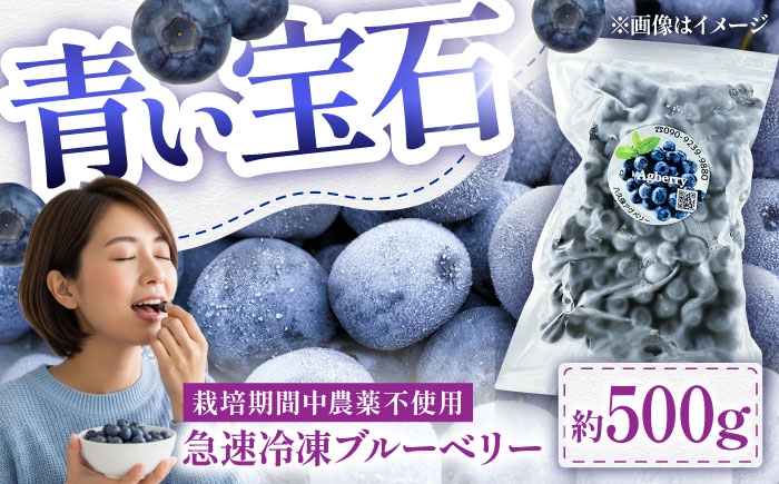 
                  青い宝石 国産 急速冷凍ブルーベリー 約500g / 冷凍 ブルーベリー 計500g 果物 ブルーベリー フルーツ 冷凍 ブルーベリー ぶるーべりー 国産【アグファーム株式会社】 [BHCX004]
                