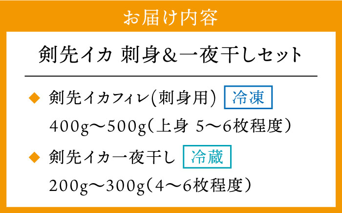 ケンサキイカ 刺身 & 一夜干し セット 剣先イカ 烏賊 《壱岐市》 【一支國屋】 おつまみ フィレ [JCC009] 19000 19000円