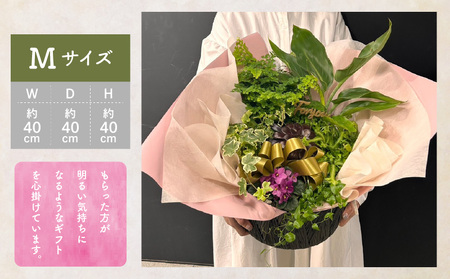 観葉植物 カゴ盛り Mサイズ インテリア 室内 花