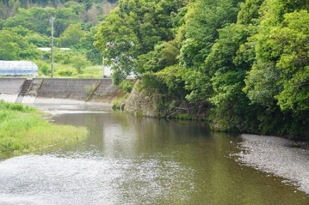 安芸虎 純米大吟醸・純米吟醸 各720mlセット