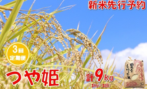 
                  【3回定期便】【令和８年産米 先行予約】つや姫3kg　計9kg　佐藤
                