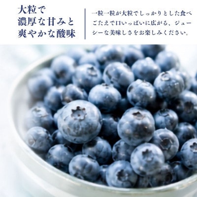 【毎月定期便】冷凍ブルーベリー2kg(500g×4パック)全3回【配送不可地域：離島】