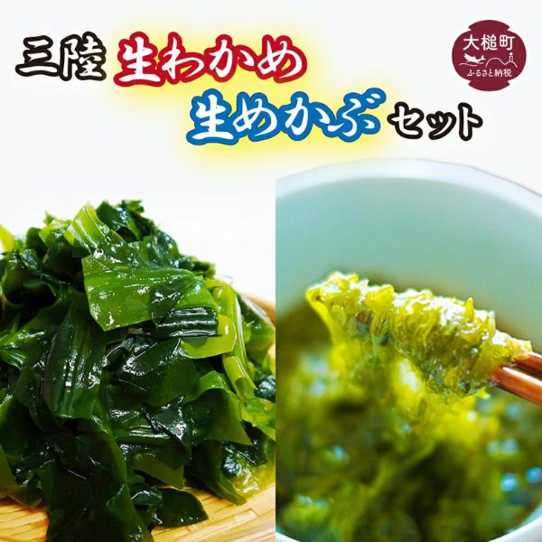 生めかぶと生わかめのセット 3kg（めかぶ1kg/わかめ2kg）【3月末～4月発送】
