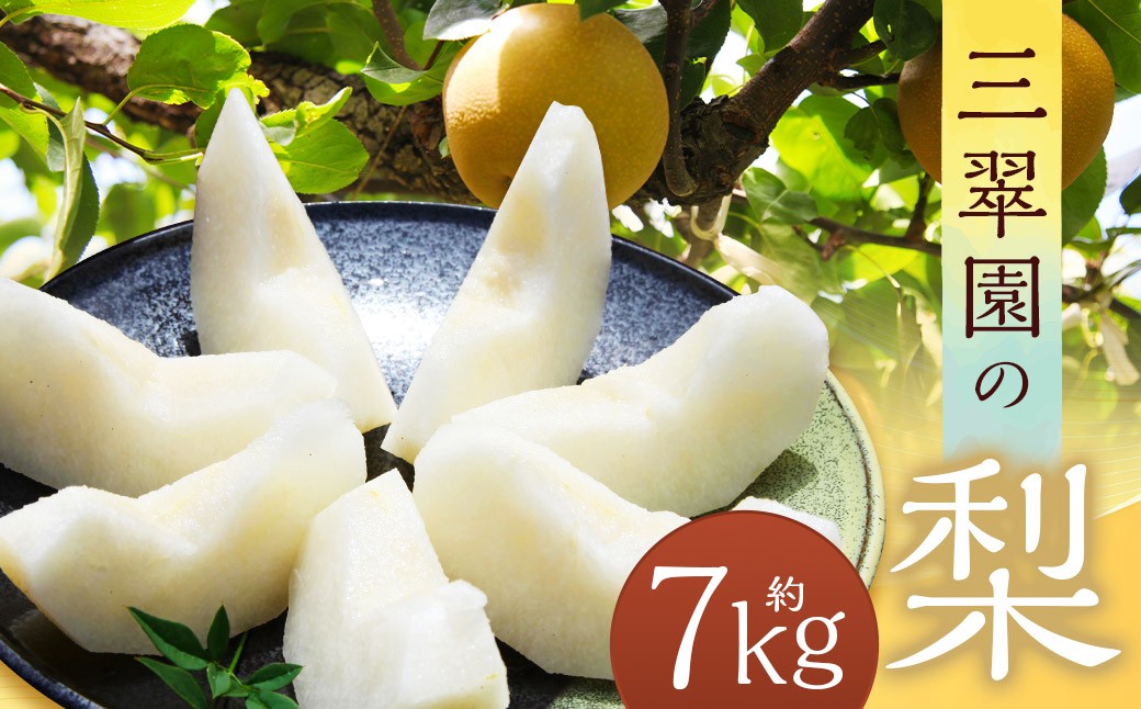 
                  三翠園の梨 7.0kg 【2026年8月上旬～12月上旬迄順次発送予定】 7キロ 梨 なし ナシ 果物 果実 フルーツ 幸水 豊水 二十世紀 あきづき 新高 新興 九州 福岡県 嘉麻市 冷蔵
                