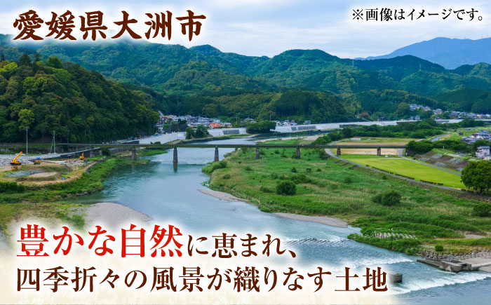 つやつや絶品、冷めても変わらぬ美味しさのお米！ ヒノヒカリ（精米）8kg　おこめ お米 ご飯 ごはん ブランド米　愛媛県大洲市/たいき産直市愛たい菜 [AGAP009]