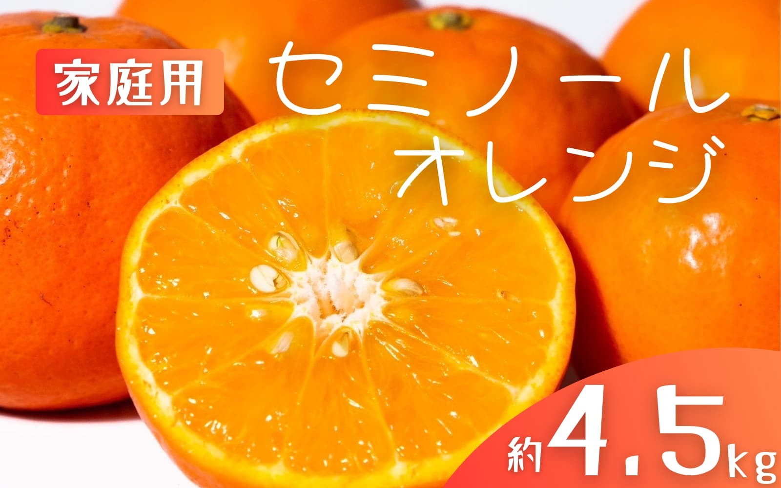 
            【先行予約】【ご家庭用】手選別 セミノールオレンジ 約4.5kg 和歌山県産 2S~2Lサイズ混合※2026年4月中旬～5月中旬頃に順次発送【mrmt027】 
          