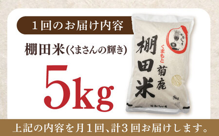 【3回定期便】菊鹿 棚田米 5kg【ミヤタ 株式会社 】熊本棚田米 白米 ごはん 米 こめ お米 ご飯  [ZAH006]