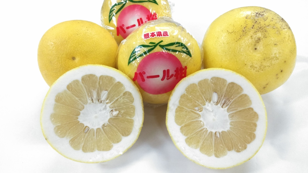 
            パール柑 【規格外品】ご家庭用 約10kg サイズ不選別 【2026年1月下旬～2月下旬迄発送予定】
          