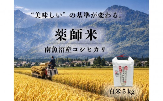 【令和８年新米予約】【南魚沼市食味コンテスト優秀賞】南魚沼産コシヒカリ 白米5kg｜薬師米（農家直送）【銘柄米 ブランド米 精米 こしひかり コシヒカリ 魚沼産 新潟米 産地直送 お米 米 こめ コメ ごはん】【2026年10月上旬より順次発送予定】