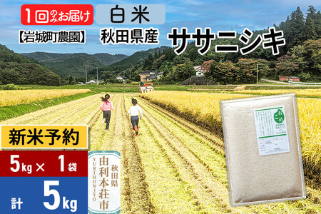 《令和7年産》【白米】ササニシキ 5kg(5kg×1袋) 秋田県 由利本荘市産 令和7年産 真空パック 岩城町農園