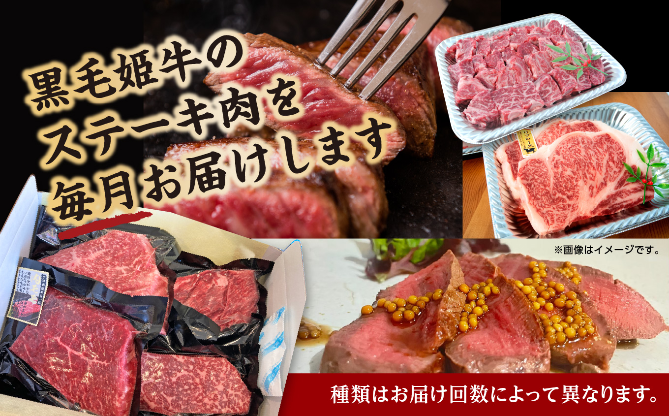 【定期便】ステーキ三昧（全3回）【Meat you Kitchen姫ファーム】