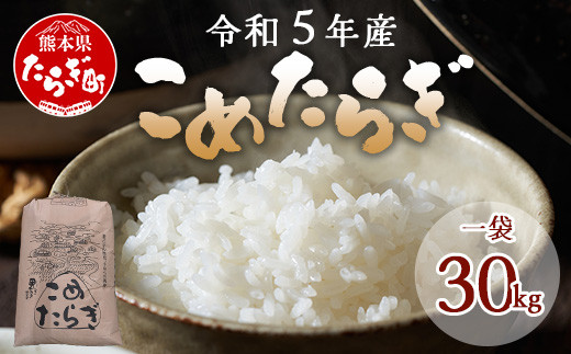 
【令和6年産 新米 】先行予約 受賞米 こめたらぎ にこまる 精米 30kg 新米 グランプリ受賞 米 お米 農家 自然 豊か 熊本県 米どころ 多良木町 044-0509-a
