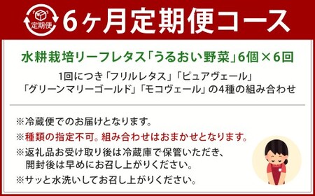 【定期1ヶ月毎6回】水耕栽培 リーフレタス「うるおい野菜」6個セット 野菜 フリルレタス ピュアヴェール グリーンマリーゴールド モコヴェール 定期便 セット 福岡県 北九州市