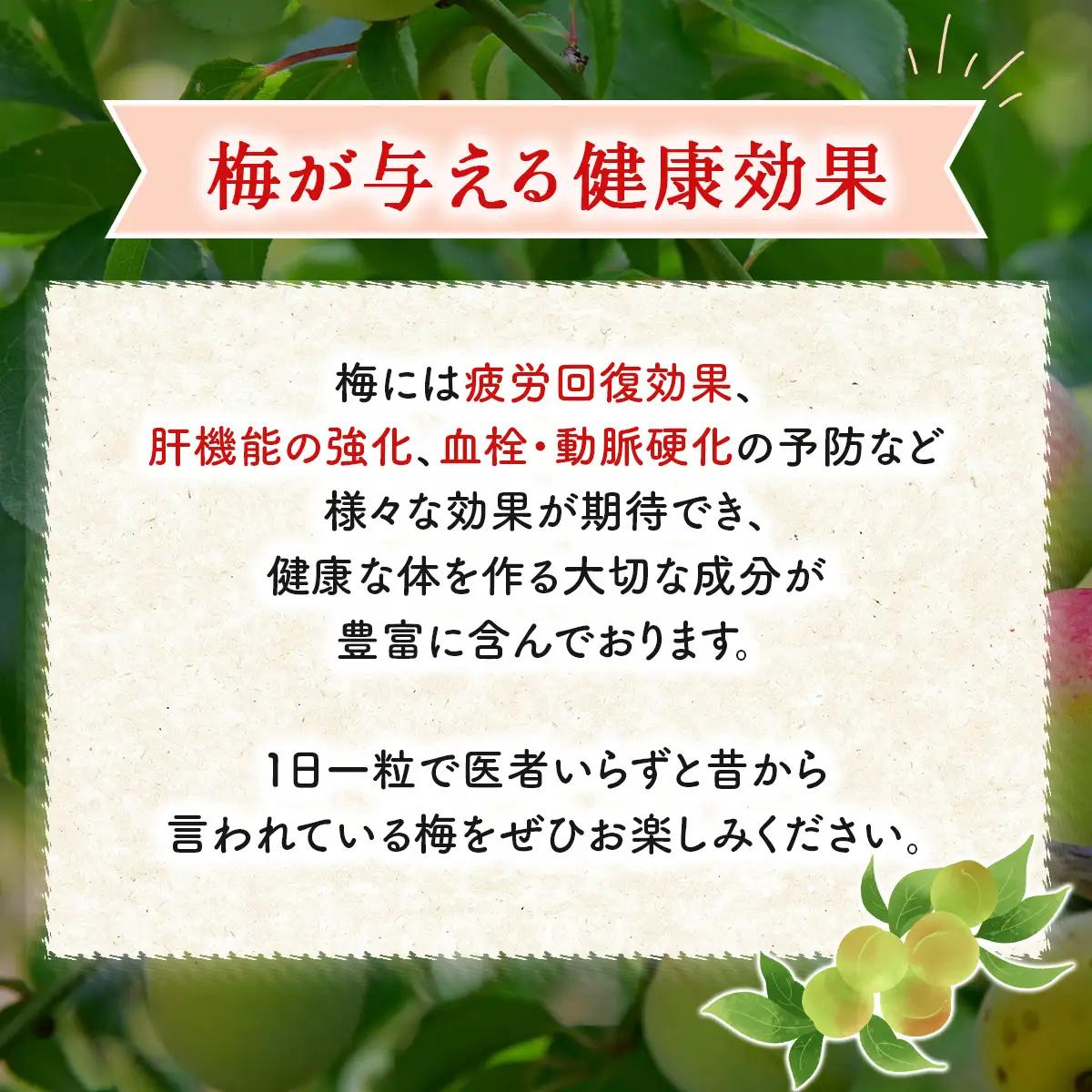 W01306 大多喜町産　無添加梅尽くし３点セット