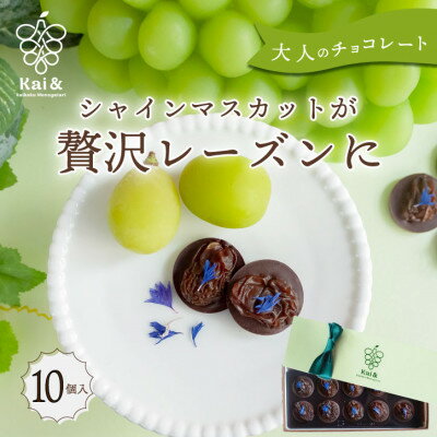 【ふるさと納税】シャインマスカットレーズンのチョコレートマンディアン 10個入 山梨県産シャインマスカット使用【1697053】