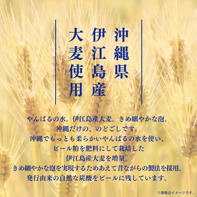 【オリオンビール】オリオン ザ・ドラフト＜500ml×24缶＞【価格改定YA】_イメージ4