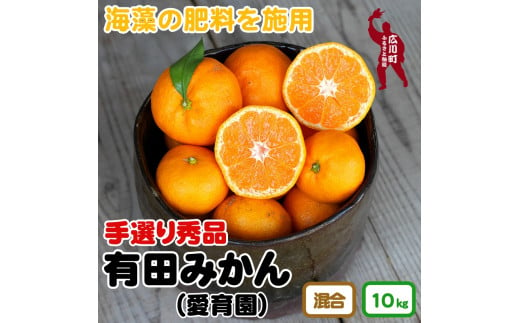 ▼海藻施用有田みかん 手選果 10kg ※2024年11月下旬～2025年1月中旬頃に順次発送予定 【aii004-r-10】