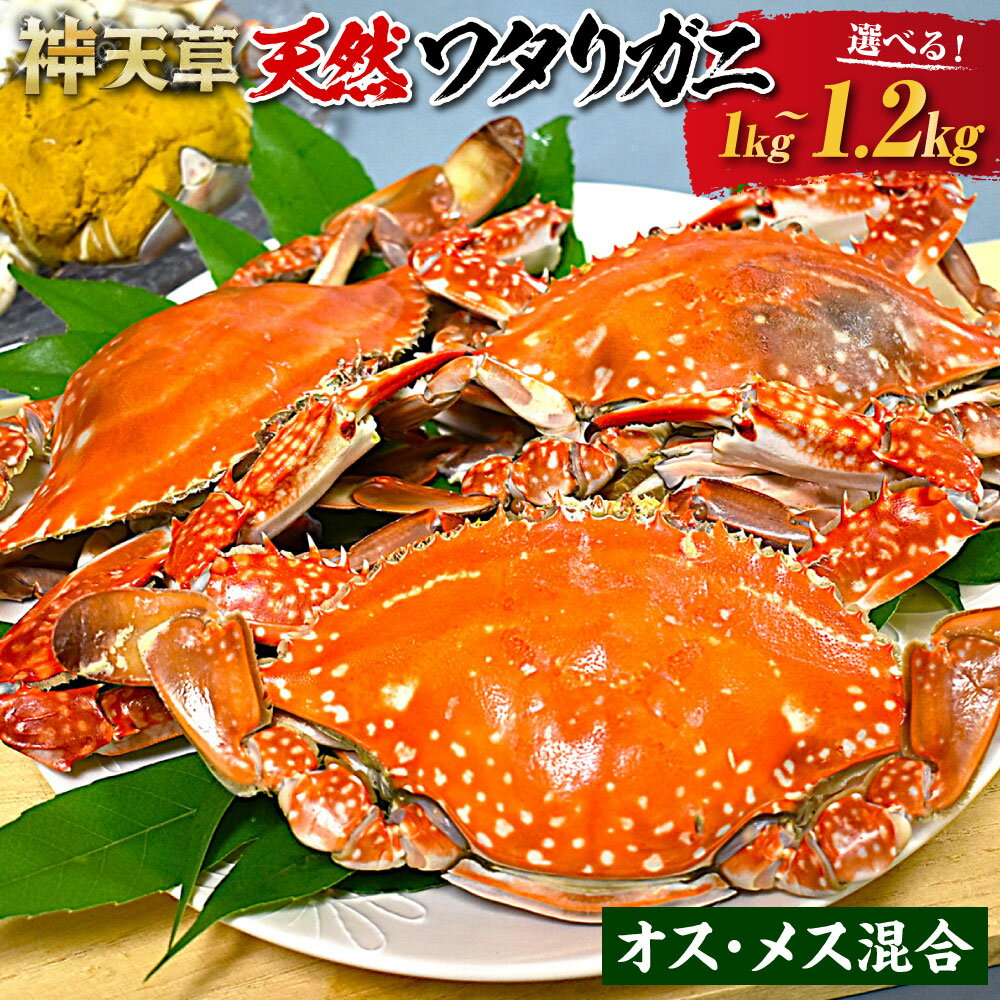 【ふるさと納税】天草産 天然ワタリガニ オス・メス混合 1kg～1.2kg 3杯～6杯 選べる内容量 蟹 カニ 渡り蟹 海産物 海鮮 海の幸 天然 内子 かに味噌 国産 九州 冷凍 熊本県 上天草市 送料無料