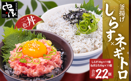 【しらす】【ねぎとろ】釜揚げしらすとネギトロ二色丼セット(しらす30g×11・ネギトロ30g×11／計22パック) 愛媛県 松山市【NKT001】