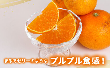 みかん 訳あり 愛果28号 5kg マル南フルーツ 【 訳あり 愛果 】 B015-106027