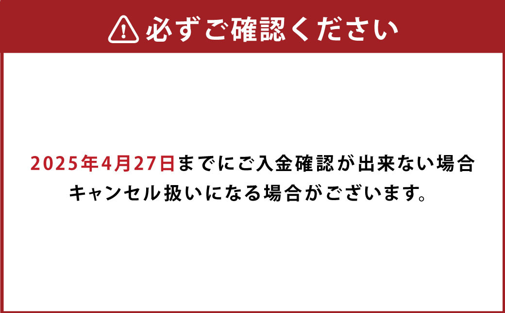 母の日にぴったりなカーネーションを中心にしたブーケ！花瓶付きタイプ	