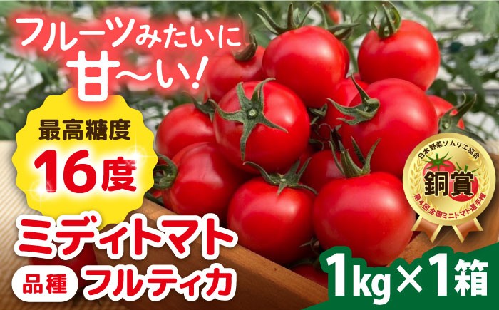 
                  【先行受付】フルティカ 1kg 【2026年11月以降順次発送】糸島市 / かわぞえ農園 トマト 中玉トマト  [AAM005]
                