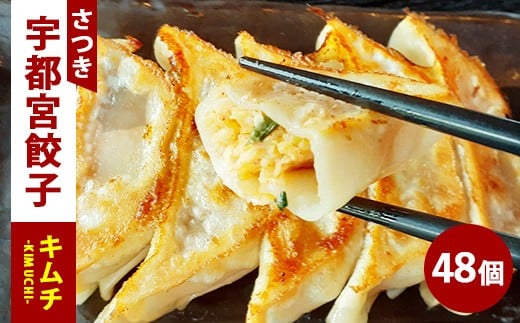 
            キムチ餃子 24個入り×2箱（合計48個）（960g）
          