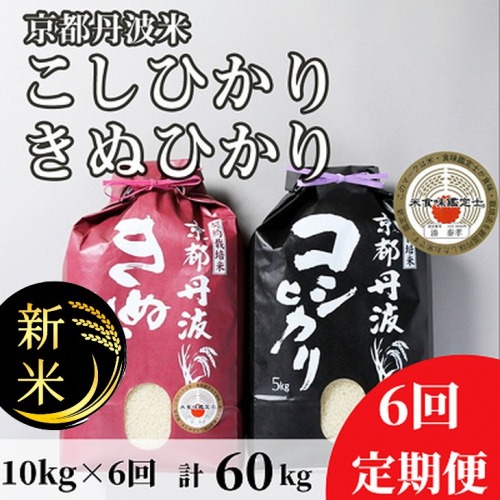 【定期便】予約 令和7年産 新米 京都丹波米 10kg(こしひかり5kg・きぬひかり5kg)×6回 計60kg● 6ヶ月 白米 6回定期便 コシヒカリ・キヌヒカリ 各5kg 米 精米したてをお届け ※北海道・沖縄・離島への配送不可 ※2025年9月中旬以降順次発送(初回分)